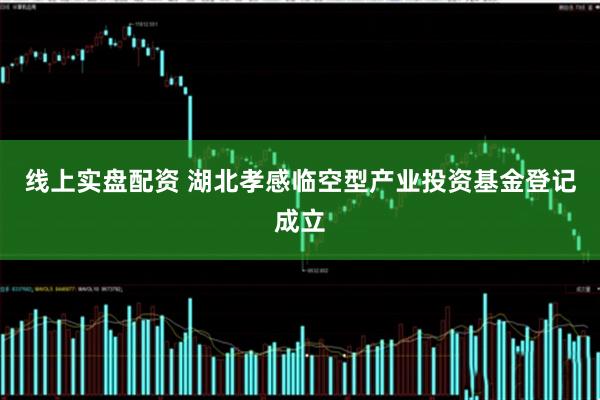 线上实盘配资 湖北孝感临空型产业投资基金登记成立