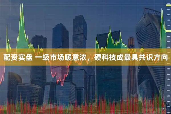配资实盘 一级市场暖意浓，硬科技成最具共识方向